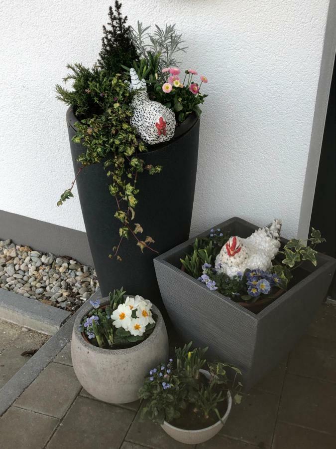 Hotel Am Moosrain Garni 艾汀 外观 照片